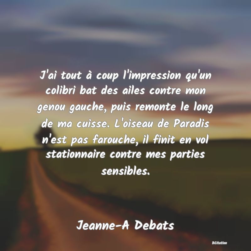 image de citation: J'ai tout à coup l'impression qu'un colibri bat des ailes contre mon genou gauche, puis remonte le long de ma cuisse. L'oiseau de Paradis n'est pas farouche, il finit en vol stationnaire contre mes parties sensibles.