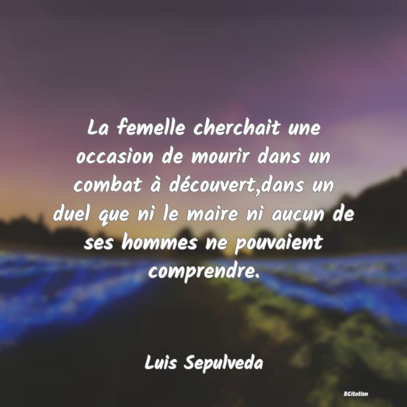 image de citation: La femelle cherchait une occasion de mourir dans un combat à découvert,dans un duel que ni le maire ni aucun de ses hommes ne pouvaient comprendre.