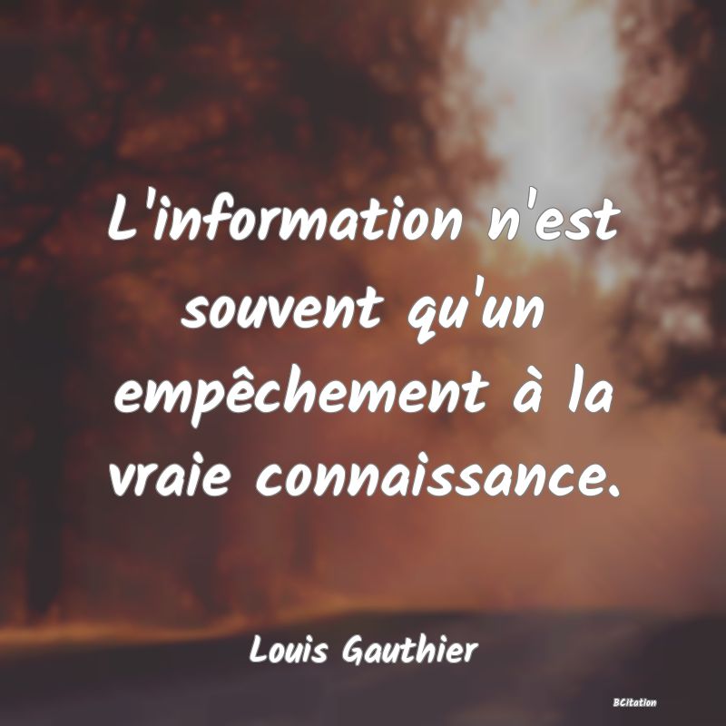 image de citation: L'information n'est souvent qu'un empêchement à la vraie connaissance.