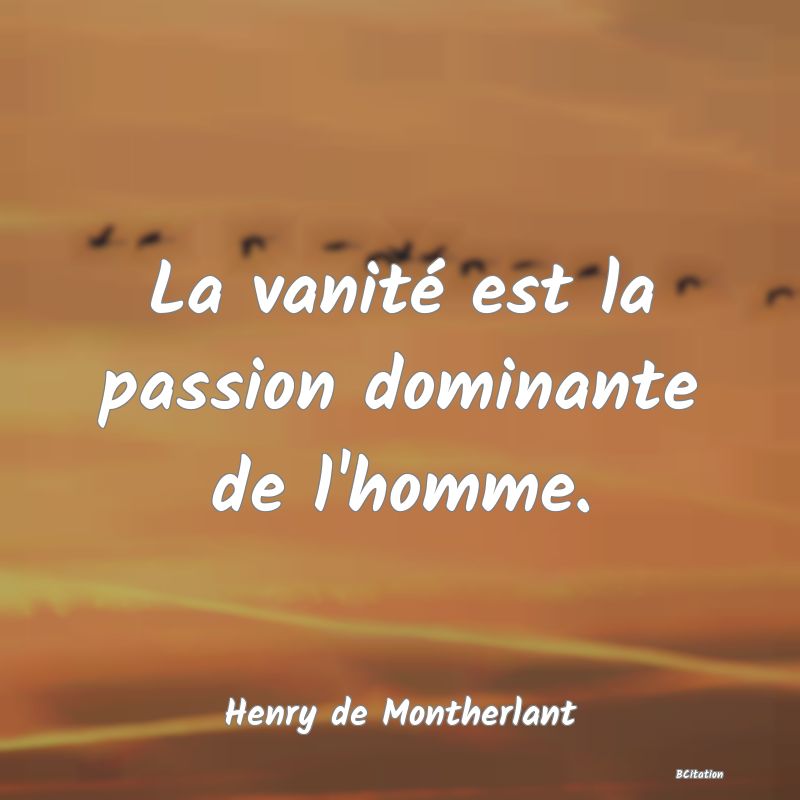 image de citation: La vanité est la passion dominante de l'homme.