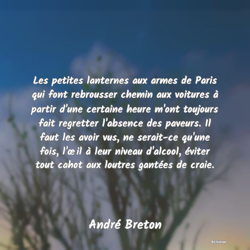 image de citation: Les petites lanternes aux armes de Paris qui font rebrousser chemin aux voitures à partir d'une certaine heure m'ont toujours fait regretter l'absence des paveurs. Il faut les avoir vus, ne serait-ce qu'une fois, l'œil à leur niveau d'alcool, éviter tout cahot aux loutres gantées de craie.