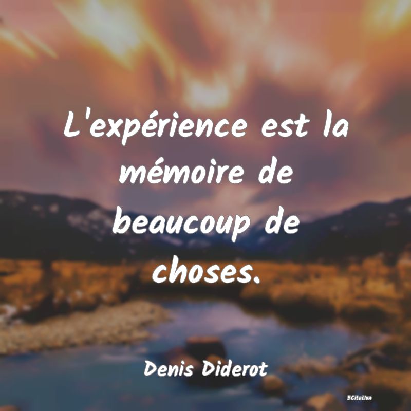 image de citation: L'expérience est la mémoire de beaucoup de choses.