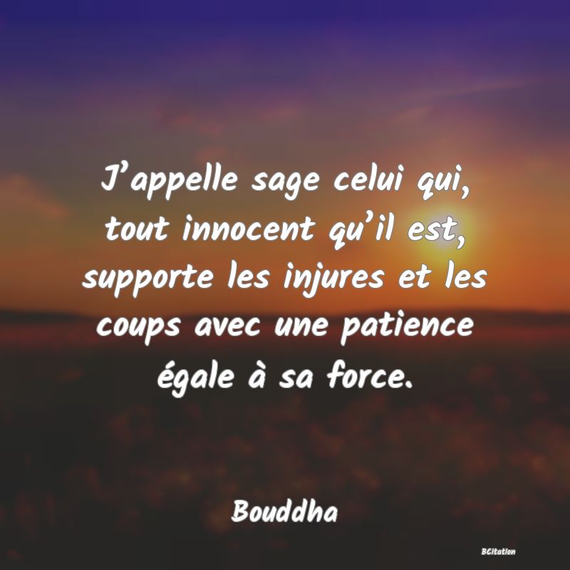 image de citation: J’appelle sage celui qui, tout innocent qu’il est, supporte les injures et les coups avec une patience égale à sa force.