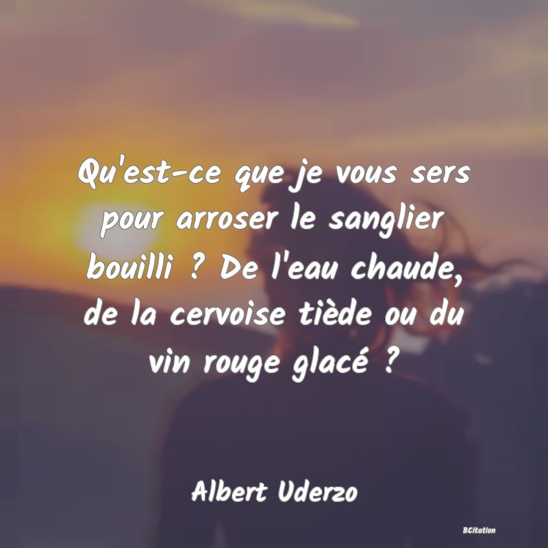 Belle Citation - Qu'est-ce que je vous sers pour arroser le sanglier bouilli ? De l'eau chaude, de la cervoise tiède ou du vin rouge glacé ? - Albert Uderzo
