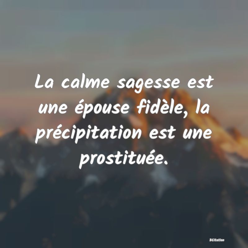 image de citation: La calme sagesse est une épouse fidèle, la précipitation est une prostituée.