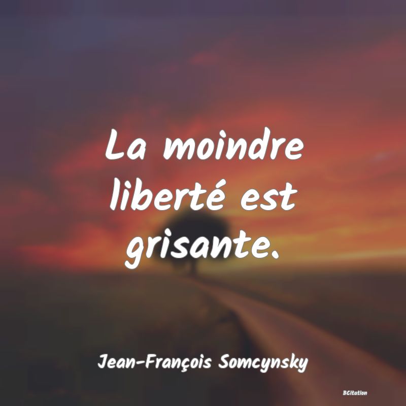 image de citation: La moindre liberté est grisante.