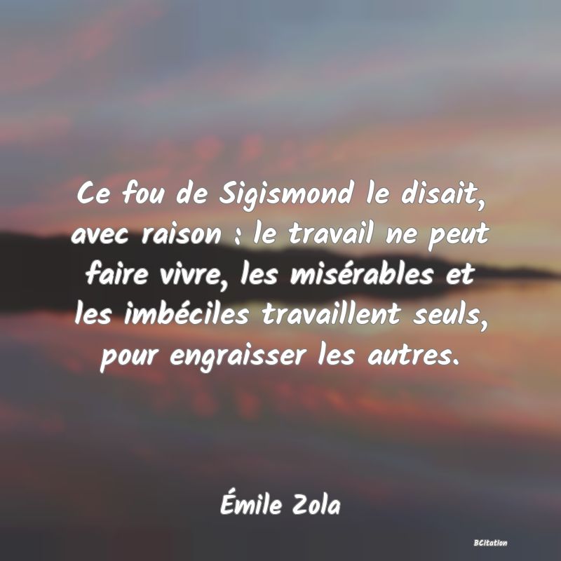 image de citation: Ce fou de Sigismond le disait, avec raison : le travail ne peut faire vivre, les misérables et les imbéciles travaillent seuls, pour engraisser les autres.