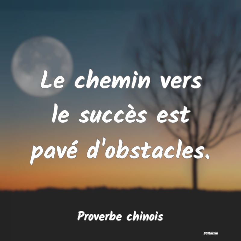 image de citation: Le chemin vers le succès est pavé d'obstacles.