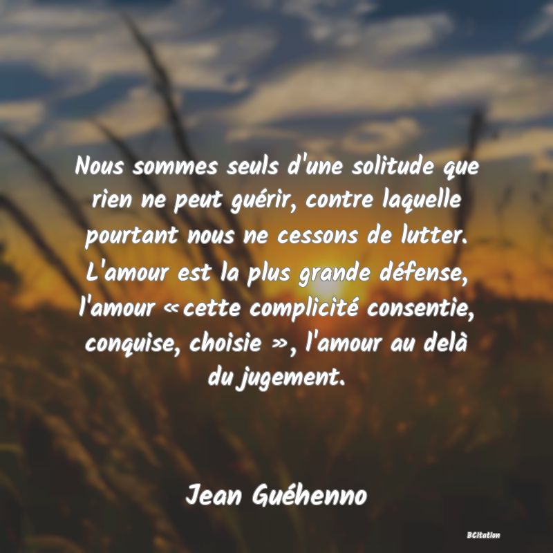 image de citation: Nous sommes seuls d'une solitude que rien ne peut guérir, contre laquelle pourtant nous ne cessons de lutter. L'amour est la plus grande défense, l'amour « cette complicité consentie, conquise, choisie », l'amour au delà du jugement.