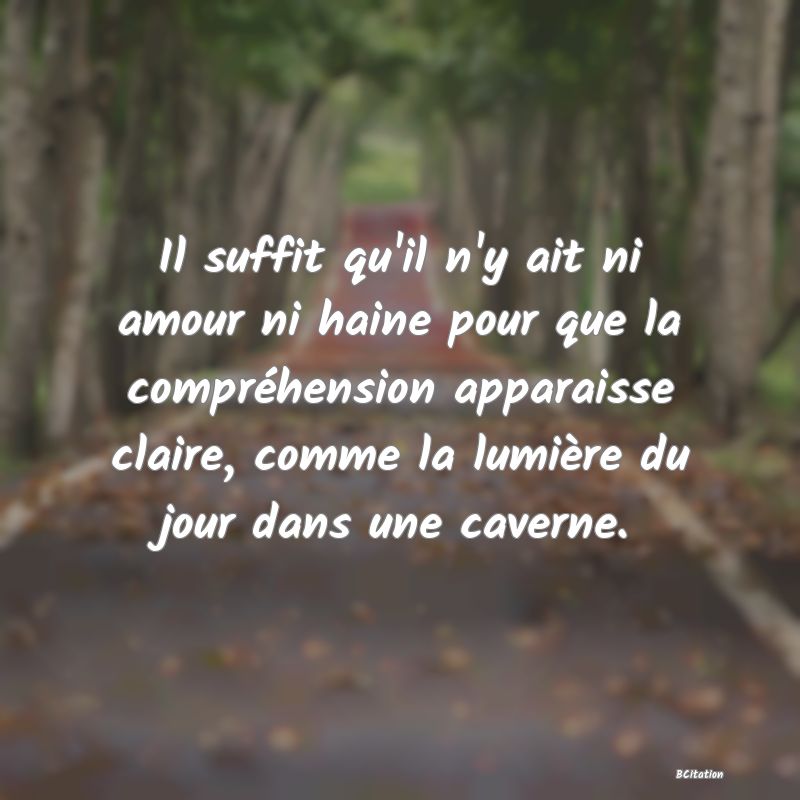 image de citation: Il suffit qu'il n'y ait ni amour ni haine pour que la compréhension apparaisse claire, comme la lumière du jour dans une caverne.