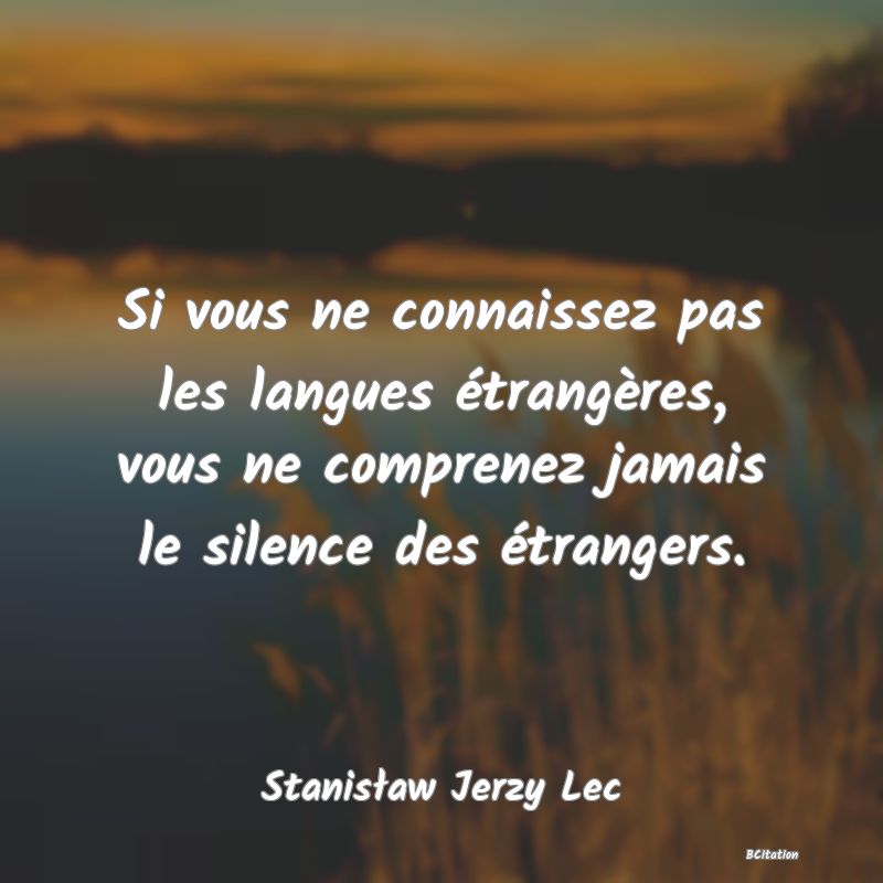 image de citation: Si vous ne connaissez pas les langues étrangères, vous ne comprenez jamais le silence des étrangers.