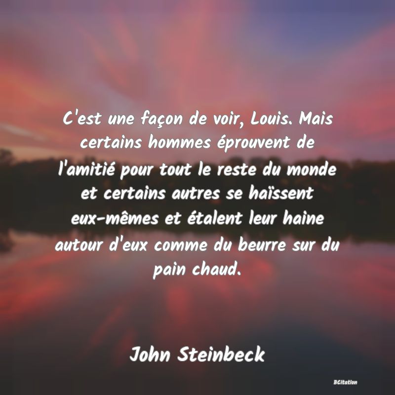 image de citation: C'est une façon de voir, Louis. Mais certains hommes éprouvent de l'amitié pour tout le reste du monde et certains autres se haïssent eux-mêmes et étalent leur haine autour d'eux comme du beurre sur du pain chaud.