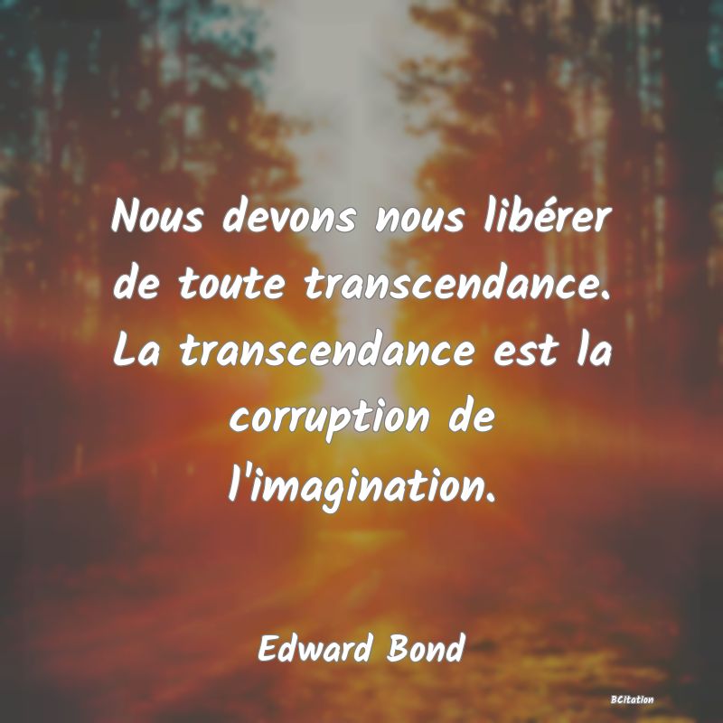 image de citation: Nous devons nous libérer de toute transcendance. La transcendance est la corruption de l'imagination.