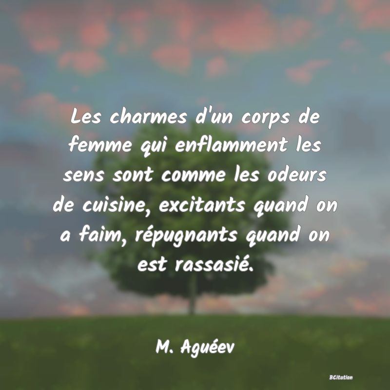 image de citation: Les charmes d'un corps de femme qui enflamment les sens sont comme les odeurs de cuisine, excitants quand on a faim, répugnants quand on est rassasié.