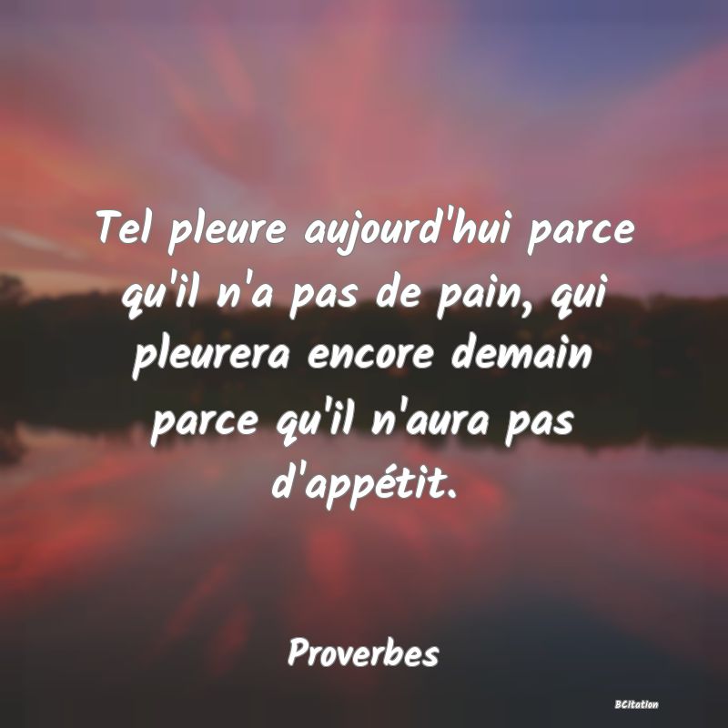 image de citation: Tel pleure aujourd'hui parce qu'il n'a pas de pain, qui pleurera encore demain parce qu'il n'aura pas d'appétit.