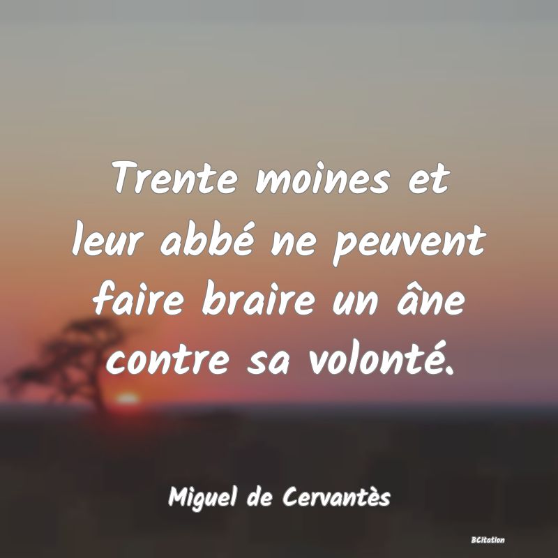 image de citation: Trente moines et leur abbé ne peuvent faire braire un âne contre sa volonté.