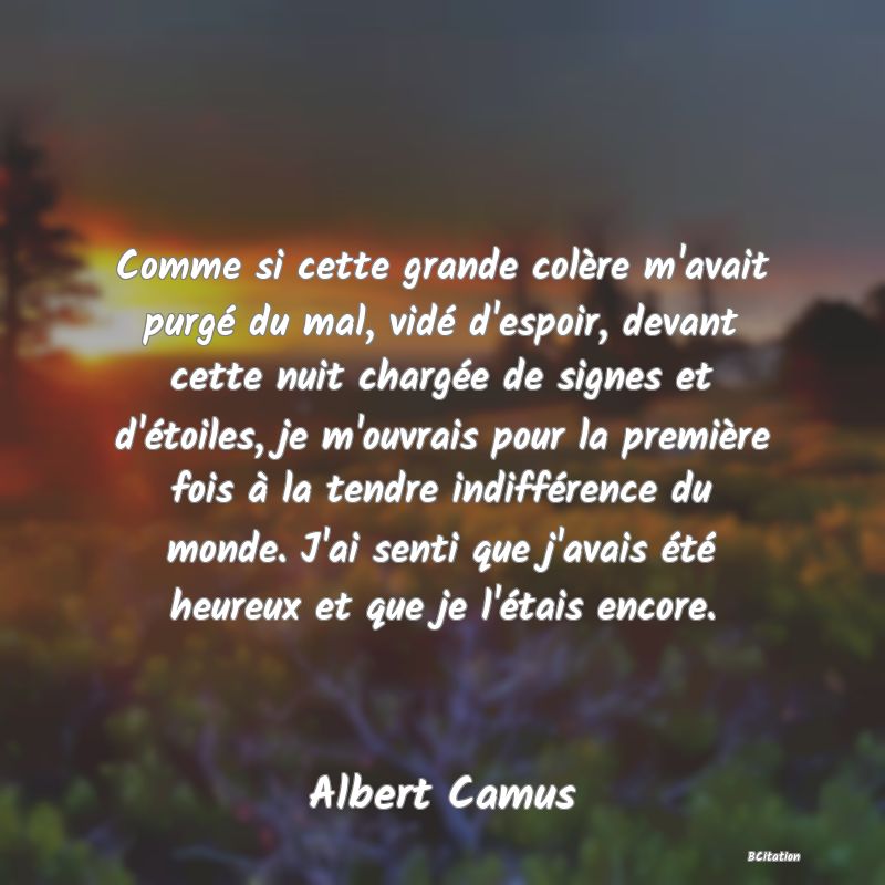 image de citation: Comme si cette grande colère m'avait purgé du mal, vidé d'espoir, devant cette nuit chargée de signes et d'étoiles, je m'ouvrais pour la première fois à la tendre indifférence du monde. J'ai senti que j'avais été heureux et que je l'étais encore.