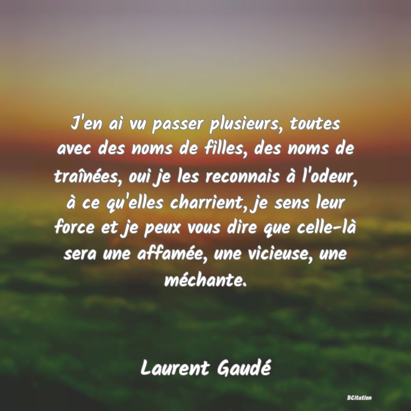 image de citation: J'en ai vu passer plusieurs, toutes avec des noms de filles, des noms de traînées, oui je les reconnais à l'odeur, à ce qu'elles charrient, je sens leur force et je peux vous dire que celle-là sera une affamée, une vicieuse, une méchante.