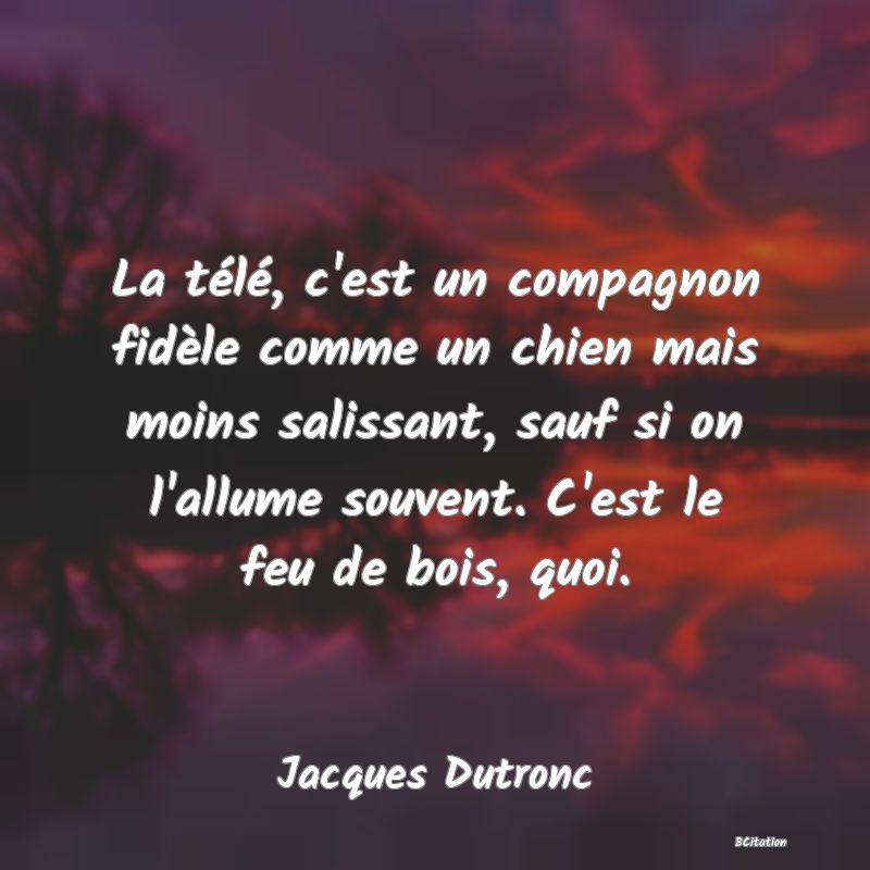 image de citation: La télé, c'est un compagnon fidèle comme un chien mais moins salissant, sauf si on l'allume souvent. C'est le feu de bois, quoi.