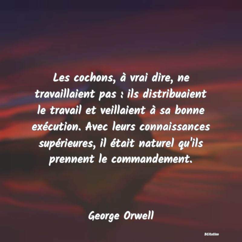 image de citation: Les cochons, à vrai dire, ne travaillaient pas : ils distribuaient le travail et veillaient à sa bonne exécution. Avec leurs connaissances supérieures, il était naturel qu'ils prennent le commandement.