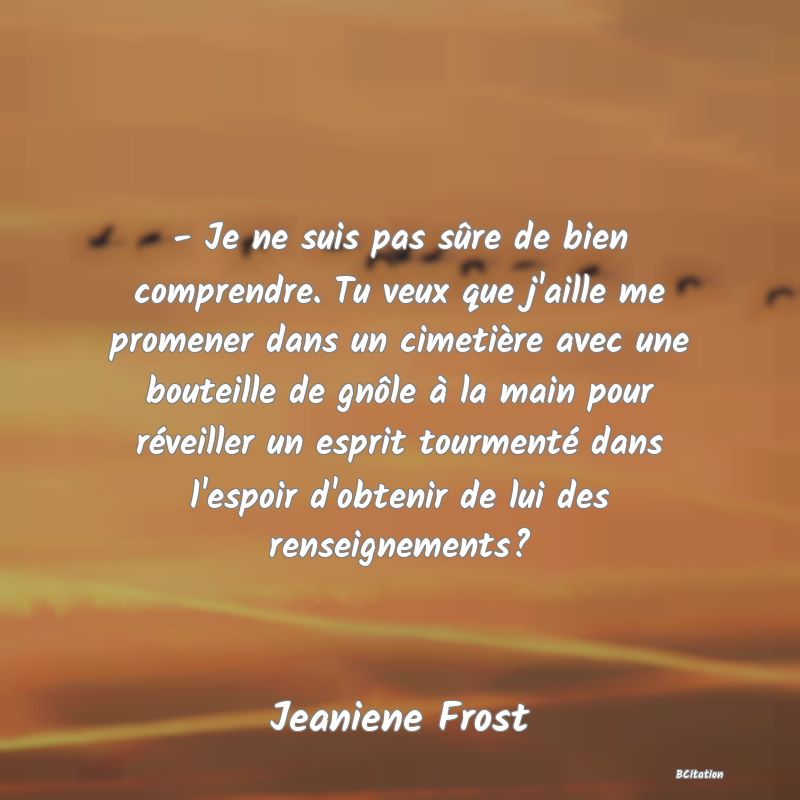 image de citation: - Je ne suis pas sûre de bien comprendre. Tu veux que j'aille me promener dans un cimetière avec une bouteille de gnôle à la main pour réveiller un esprit tourmenté dans l'espoir d'obtenir de lui des renseignements?