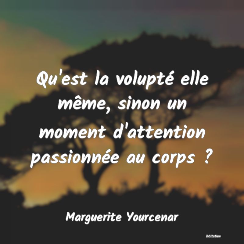 image de citation: Qu'est la volupté elle même, sinon un moment d'attention passionnée au corps ?