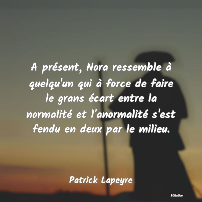 image de citation: A présent, Nora ressemble à quelqu'un qui à force de faire le grans écart entre la normalité et l'anormalité s'est fendu en deux par le milieu.