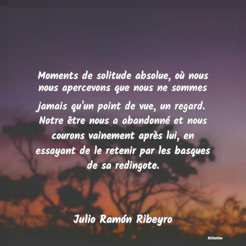 image de citation: Moments de solitude absolue, où nous nous apercevons que nous ne sommes jamais qu'un point de vue, un regard. Notre être nous a abandonné et nous courons vainement après lui, en essayant de le retenir par les basques de sa redingote.