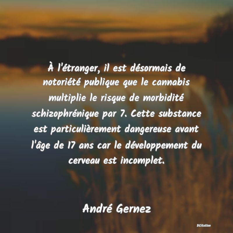 image de citation: À l'étranger, il est désormais de notoriété publique que le cannabis multiplie le risque de morbidité schizophrénique par 7. Cette substance est particulièrement dangereuse avant l'âge de 17 ans car le développement du cerveau est incomplet.