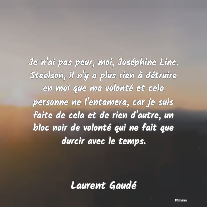 Belle Citation - Je n'ai pas peur, moi, Joséphine Linc. Steelson, il n'y a plus rien à détruire en moi que ma volonté et cela personne ne l'entamera, car je suis faite de cela et de rien d'autre, un bloc noir de volonté qui ne fait que durcir avec le temps. - Laurent Gaudé