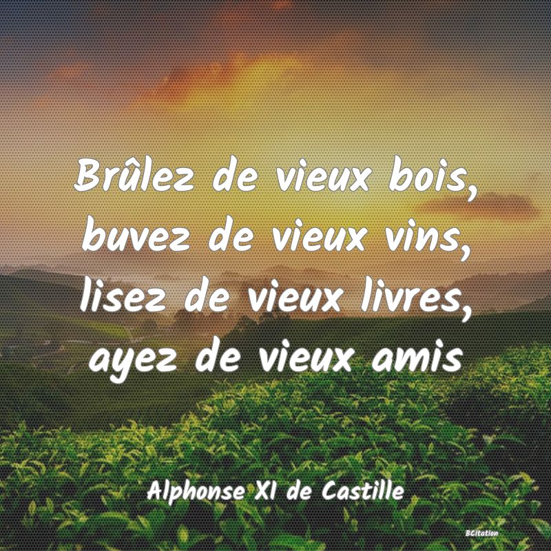 image de citation: Brûlez de vieux bois, buvez de vieux vins, lisez de vieux livres, ayez de vieux amis