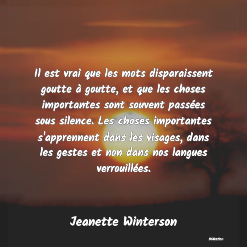 Belle Citation - Il est vrai que les mots disparaissent goutte à goutte, et que les choses importantes sont souvent passées sous silence. Les choses importantes s'apprennent dans les visages, dans les gestes et non dans nos langues verrouillées. - Jeanette Winterson