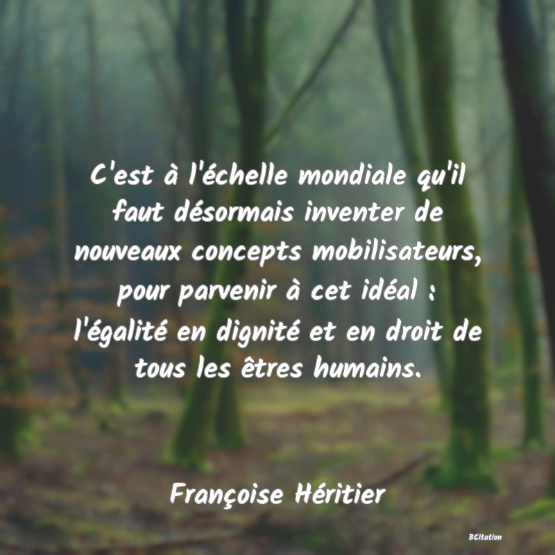 image de citation: C'est à l'échelle mondiale qu'il faut désormais inventer de nouveaux concepts mobilisateurs, pour parvenir à cet idéal : l'égalité en dignité et en droit de tous les êtres humains.