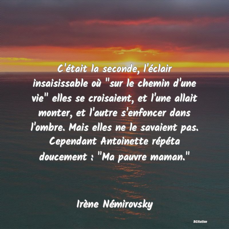 image de citation: C'était la seconde, l'éclair insaisissable où  sur le chemin d'une vie  elles se croisaient, et l'une allait monter, et l'autre s'enfoncer dans l'ombre. Mais elles ne le savaient pas. Cependant Antoinette répéta doucement :  Ma pauvre maman. 