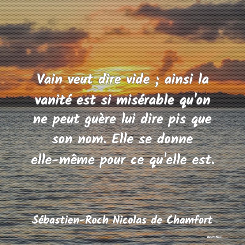 image de citation: Vain veut dire vide ; ainsi la vanité est si misérable qu'on ne peut guère lui dire pis que son nom. Elle se donne elle-même pour ce qu'elle est.