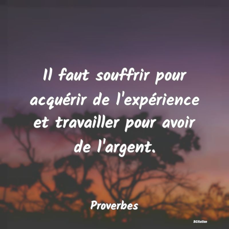 image de citation: Il faut souffrir pour acquérir de l'expérience et travailler pour avoir de l'argent.