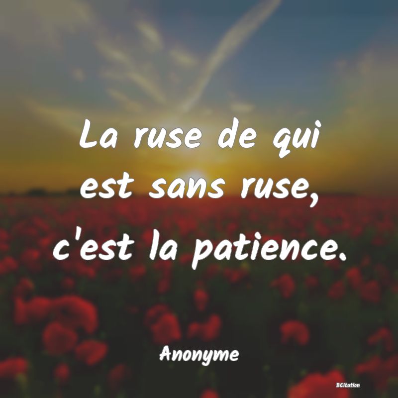 Belle Citation - La ruse de qui est sans ruse, c'est la patience. - Anonyme