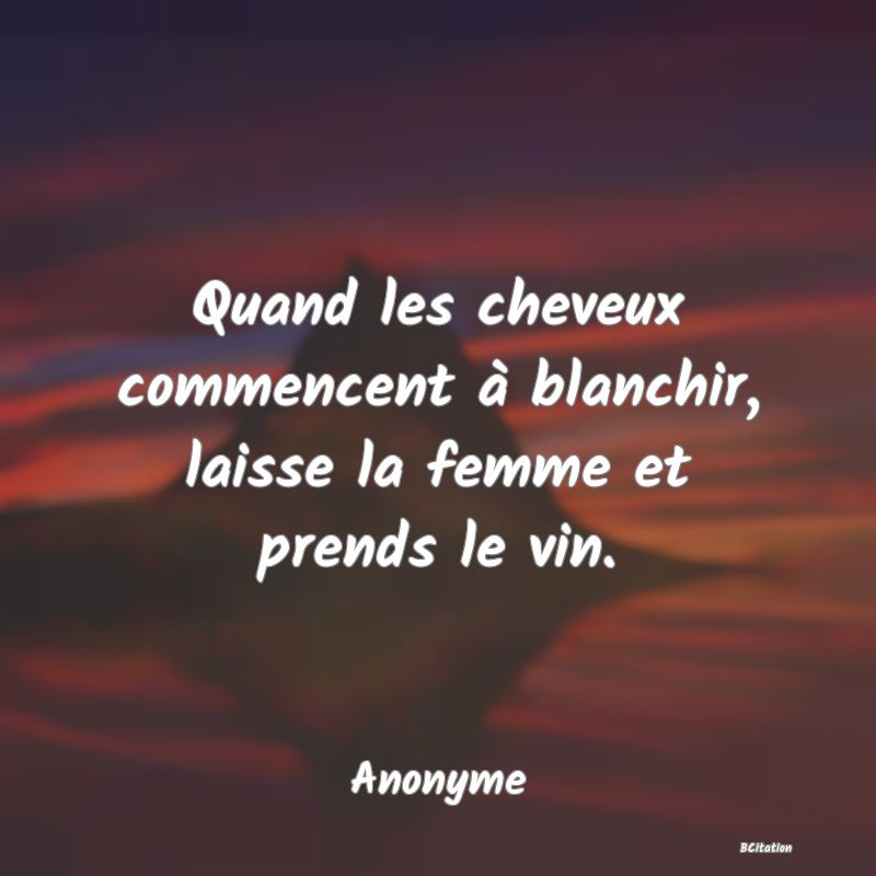 Belle Citation - Quand les cheveux commencent à blanchir, laisse la femme et prends le vin. - Anonyme