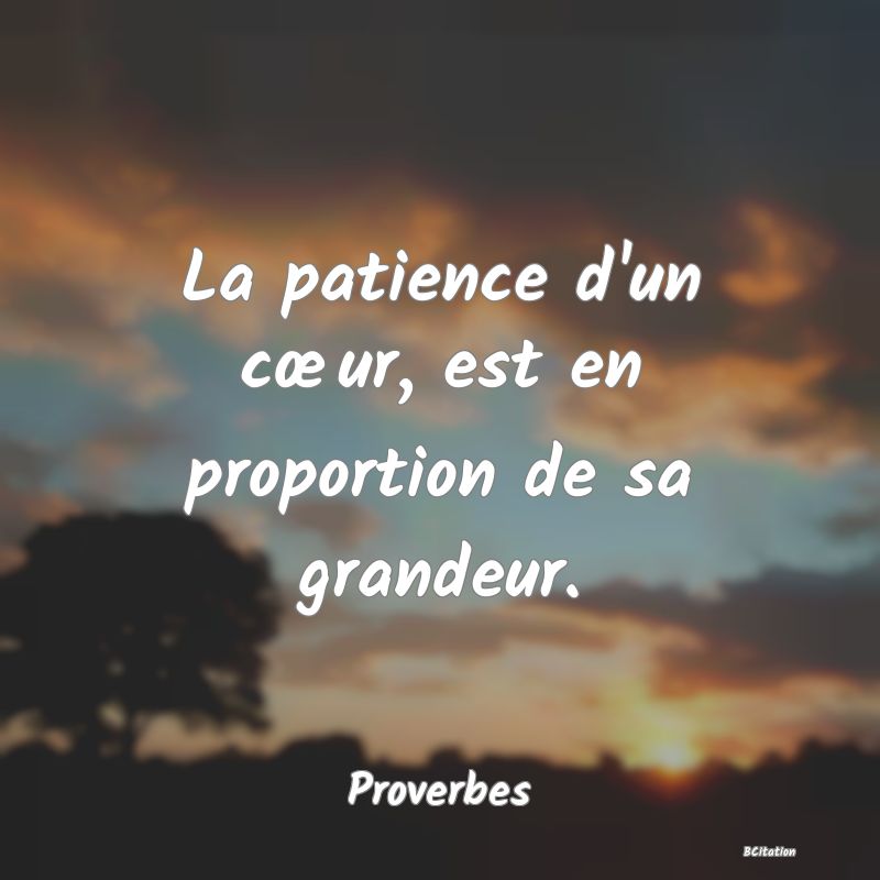 image de citation: La patience d'un cœur, est en proportion de sa grandeur.