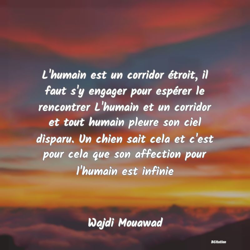 image de citation: L'humain est un corridor étroit, il faut s'y engager pour espérer le rencontrer L'humain et un corridor et tout humain pleure son ciel disparu. Un chien sait cela et c'est pour cela que son affection pour l'humain est infinie