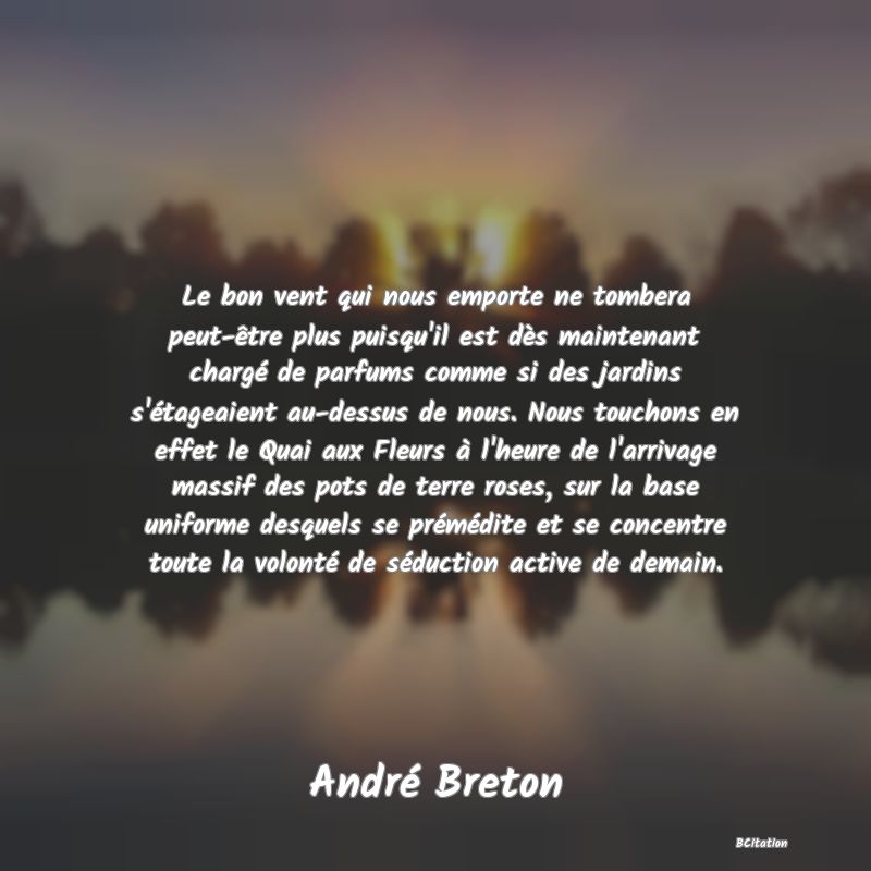 image de citation: Le bon vent qui nous emporte ne tombera peut-être plus puisqu'il est dès maintenant chargé de parfums comme si des jardins s'étageaient au-dessus de nous. Nous touchons en effet le Quai aux Fleurs à l'heure de l'arrivage massif des pots de terre roses, sur la base uniforme desquels se prémédite et se concentre toute la volonté de séduction active de demain.