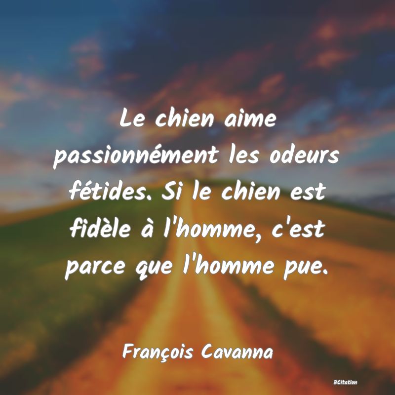 image de citation: Le chien aime passionnément les odeurs fétides. Si le chien est fidèle à l'homme, c'est parce que l'homme pue.