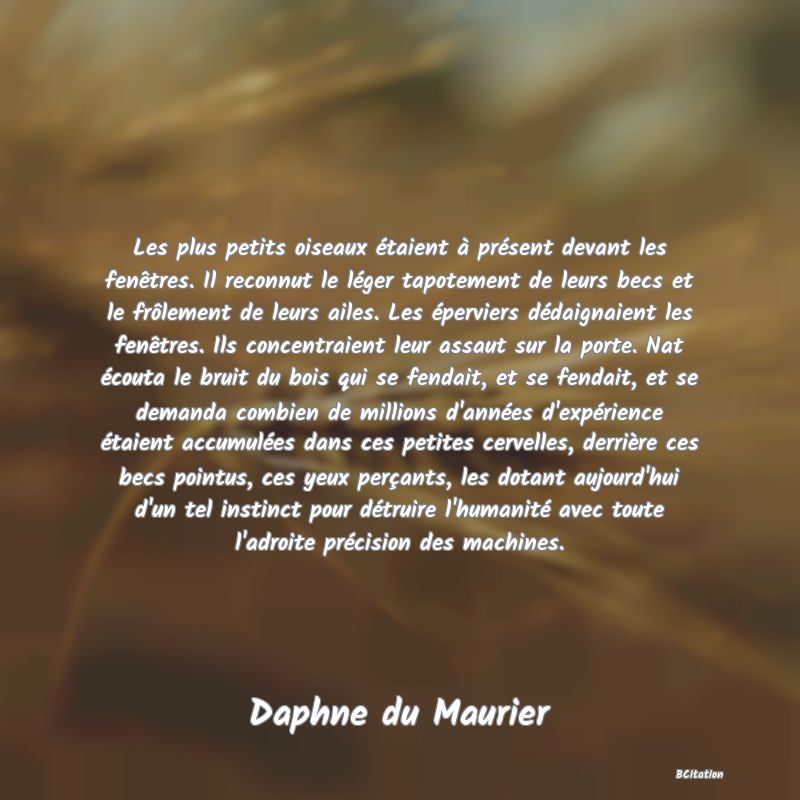 image de citation: Les plus petits oiseaux étaient à présent devant les fenêtres. Il reconnut le léger tapotement de leurs becs et le frôlement de leurs ailes. Les éperviers dédaignaient les fenêtres. Ils concentraient leur assaut sur la porte. Nat écouta le bruit du bois qui se fendait, et se fendait, et se demanda combien de millions d'années d'expérience étaient accumulées dans ces petites cervelles, derrière ces becs pointus, ces yeux perçants, les dotant aujourd'hui d'un tel instinct pour détruire l'humanité avec toute l'adroite précision des machines.