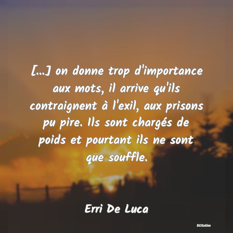 image de citation: [...] on donne trop d'importance aux mots, il arrive qu'ils contraignent à l'exil, aux prisons pu pire. Ils sont chargés de poids et pourtant ils ne sont que souffle.