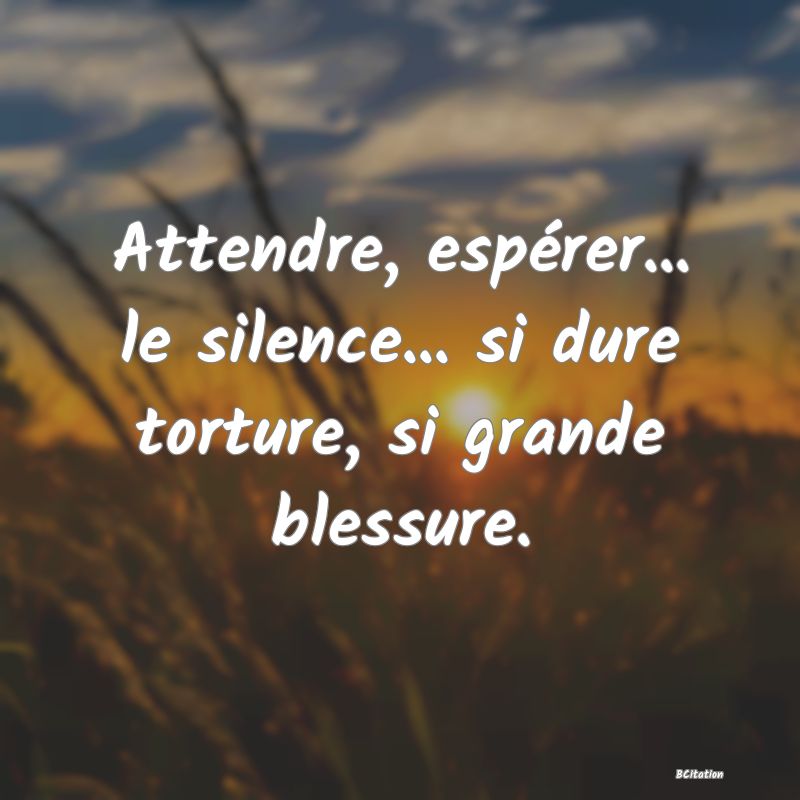 Belle Citation - Attendre, espérer... le silence... si dure torture, si grande blessure. - 