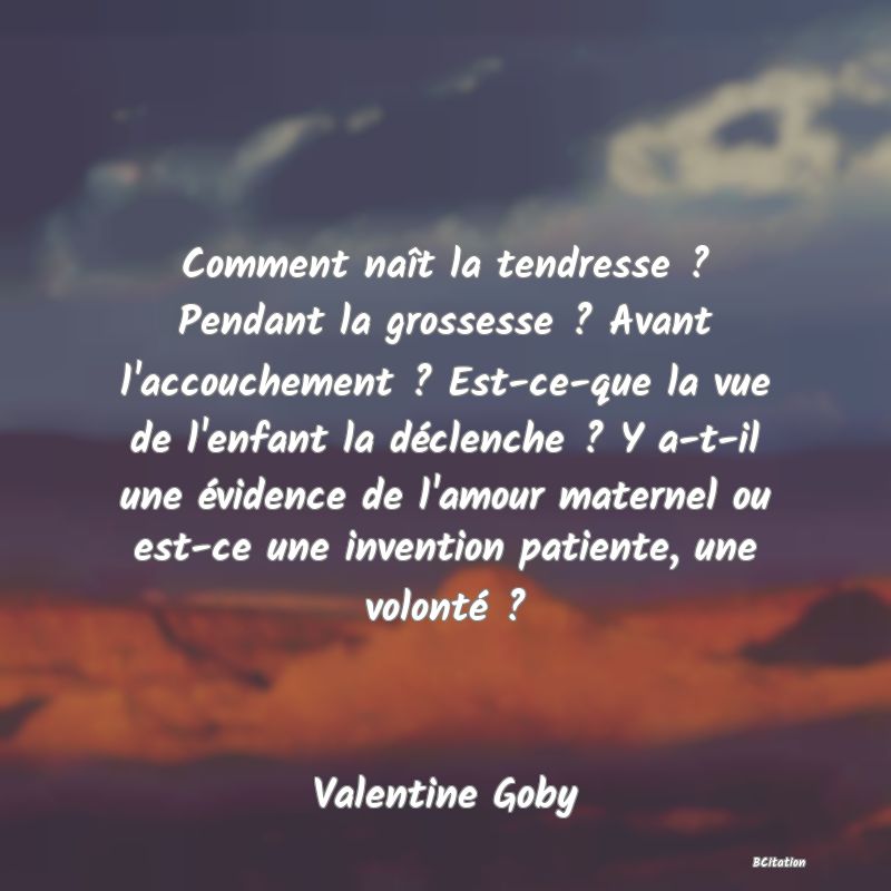 image de citation: Comment naît la tendresse ? Pendant la grossesse ? Avant l'accouchement ? Est-ce-que la vue de l'enfant la déclenche ? Y a-t-il une évidence de l'amour maternel ou est-ce une invention patiente, une volonté ?