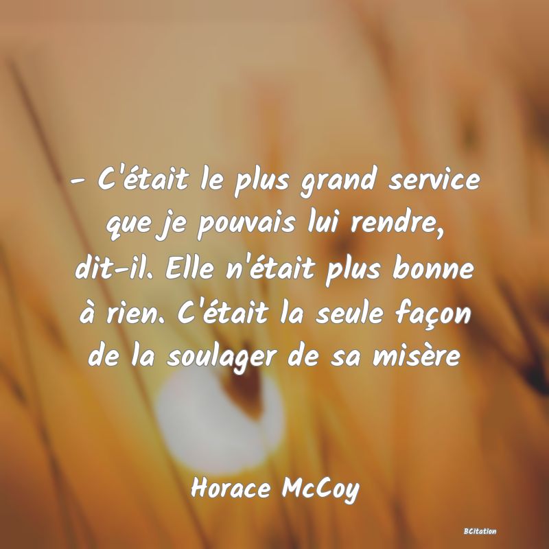 image de citation: - C'était le plus grand service que je pouvais lui rendre, dit-il. Elle n'était plus bonne à rien. C'était la seule façon de la soulager de sa misère