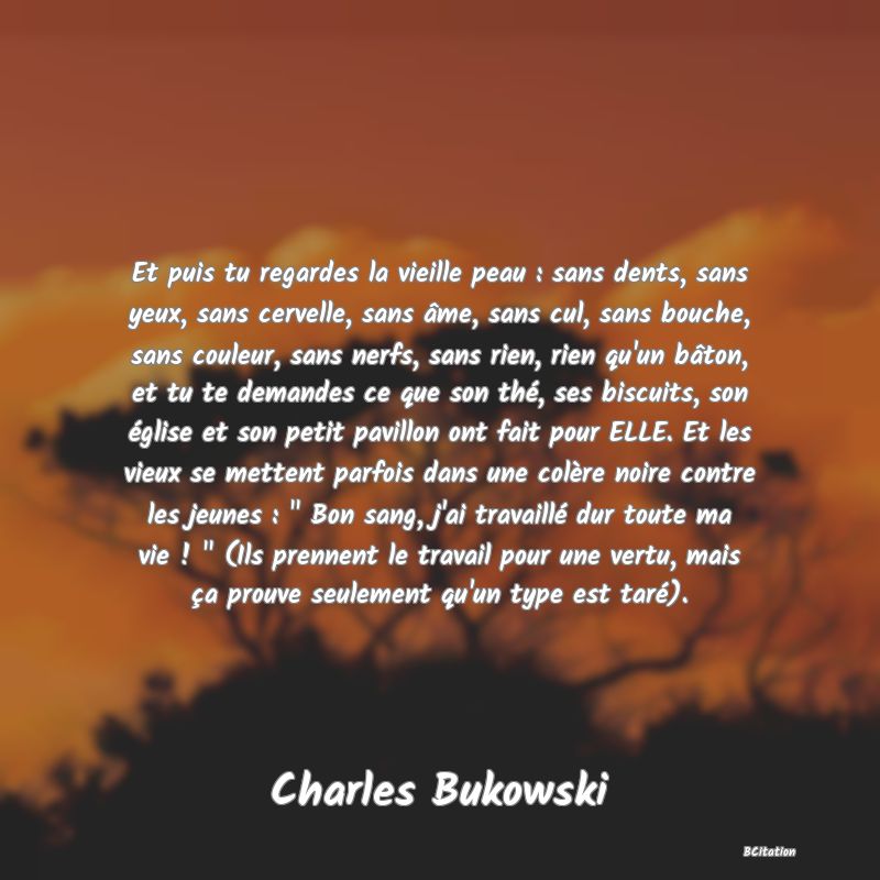 image de citation: Et puis tu regardes la vieille peau : sans dents, sans yeux, sans cervelle, sans âme, sans cul, sans bouche, sans couleur, sans nerfs, sans rien, rien qu'un bâton, et tu te demandes ce que son thé, ses biscuits, son église et son petit pavillon ont fait pour ELLE. Et les vieux se mettent parfois dans une colère noire contre les jeunes :   Bon sang, j'ai travaillé dur toute ma vie !   (Ils prennent le travail pour une vertu, mais ça prouve seulement qu'un type est taré).