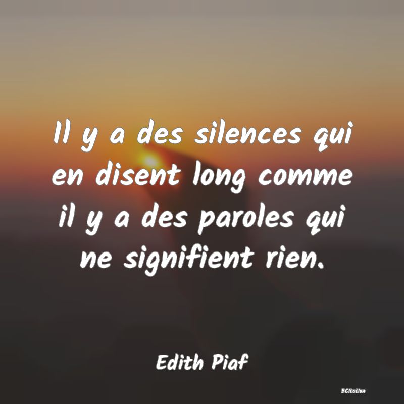 image de citation: Il y a des silences qui en disent long comme il y a des paroles qui ne signifient rien.