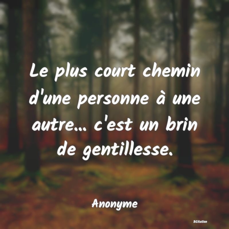 image de citation: Le plus court chemin d'une personne à une autre... c'est un brin de gentillesse.